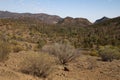 View from Razorback lookout over national park and Ikara-Flinders Ranges Royalty Free Stock Photo